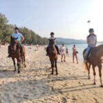 Phuket: Kamala Beach Horse Riding Activity - The Practicalities You Should Know