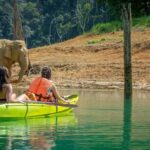 Phuket: Khao Sok National Park and Cheow Lan Lake Tour - What Travelers Should Know