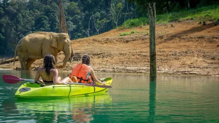 Phuket: Khao Sok National Park and Cheow Lan Lake Tour - What Travelers Should Know