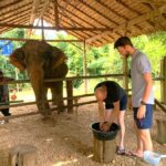 Phuket: Khao Sok Private Elephant Day Care and Bamboo Raft - The Practical Side: What You Need to Know