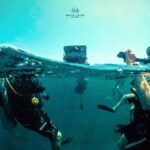 Phuket LGBTQ+ Friendly Scuba & Snorkeling Day Trip - What Makes This Trip Stand Out