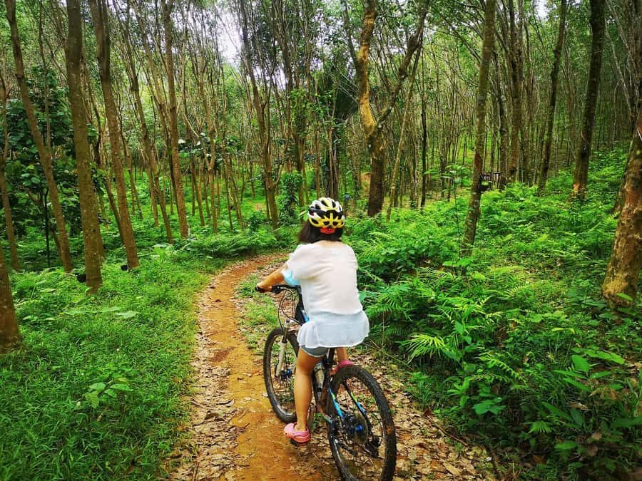 Phuket Mountain Bike Tour On Koh Yao Noi - What Makes This Tour Stand Out?