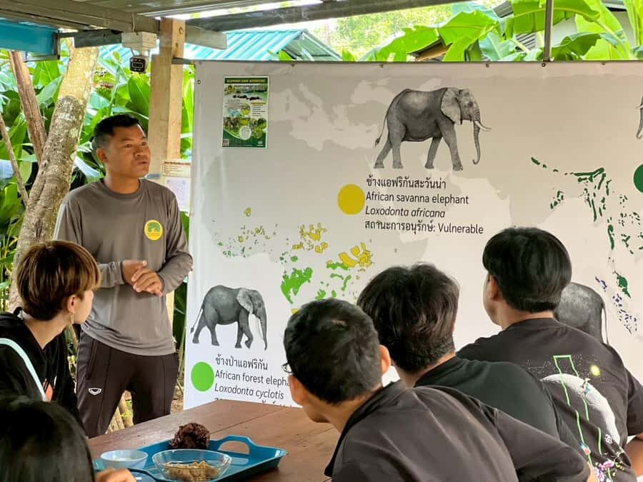 Phuket: Nature walk & Herb Ethical Wellness Elephant Tour - What Makes This Tour Stand Out