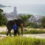 Phuket: Patong Highlights Elephant Sanctuary Tour - How This Tour Compares in Value