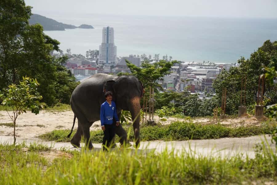 Phuket: Patong Highlights Elephant Sanctuary Tour - How This Tour Compares in Value