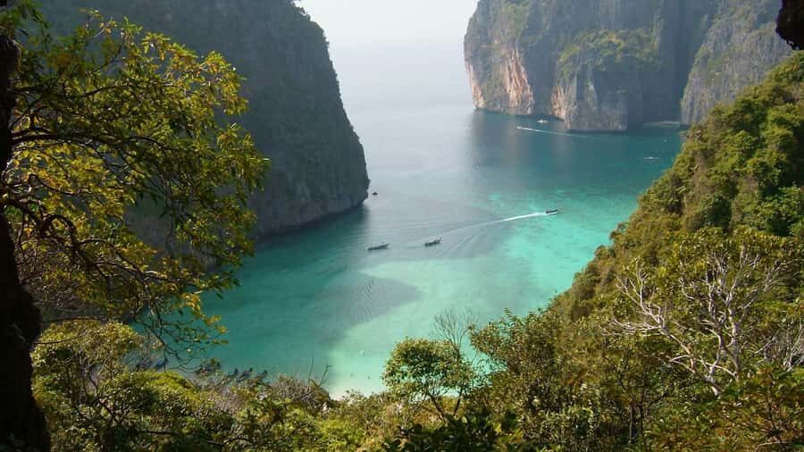 Phuket: Phi Phi Island Shark spotting sunset tour - The Experience of Snorkeling with Sharks