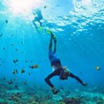 Phuket: Phi Phi Island Sunrise Group Speedboat Tour - What You Can Expect: A Day in Paradise