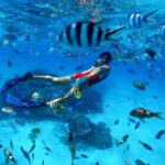 Phuket: Phi Phi & Maya Bay Speedboat Day Trip with Lunch - What Sets This Tour Apart
