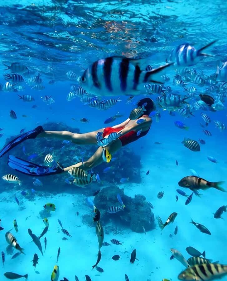 Phuket: Phi Phi & Maya Bay Speedboat Day Trip with Lunch - What Sets This Tour Apart