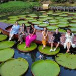 Phuket: Private & All-Inclusive Giant Water Lilies Tour - The Natural Wonder: Giant Water Lilies in Phuket