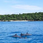 Phuket: Private Speed Boat to Maiton and Khai Islands - What Makes This Tour Stand Out?
