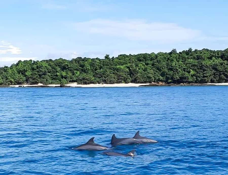 Phuket: Private Speed Boat to Maiton and Khai Islands - What Makes This Tour Stand Out?