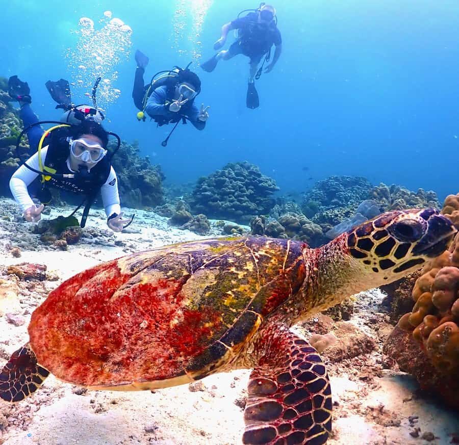 Phuket: Scuba Diving Maithon Or Racha Islands For All Levels - Who Should Consider This Tour?