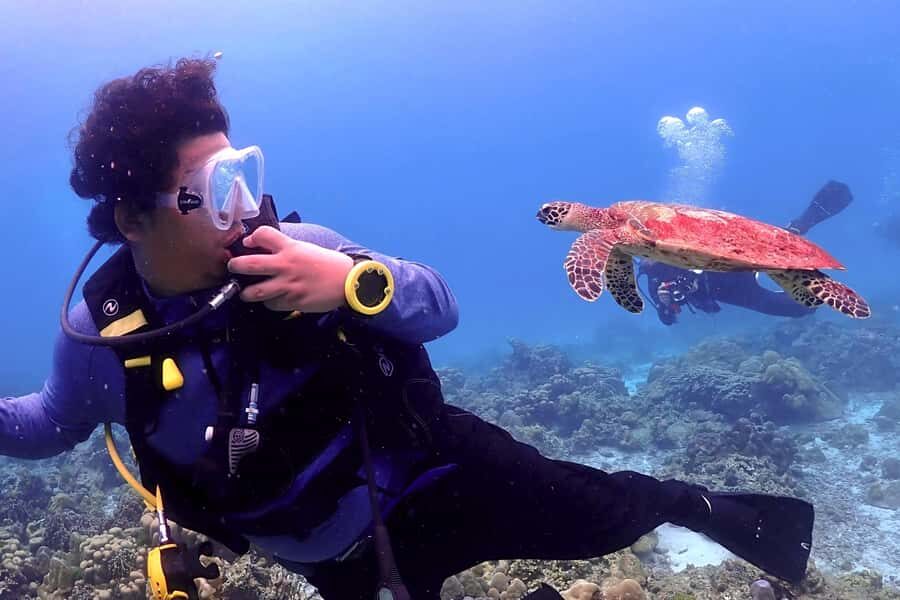 Phuket Scuba Diving Racha Islands 1-3 Dives For All Levels - A Closer Look at the Tour Experience