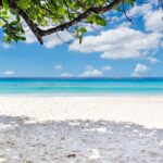 Phuket: Similan Day Trip by Speedboat - What’s Included and Practical Considerations