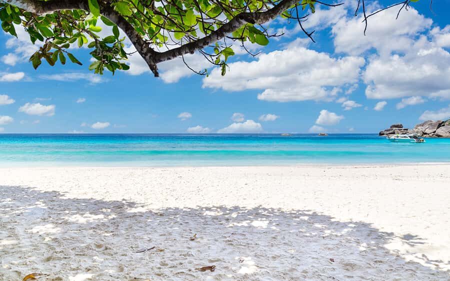 Phuket: Similan Day Trip by Speedboat - What’s Included and Practical Considerations