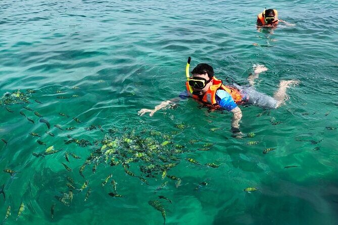 Phuket Speedboat Tour to Yao Noi & Hong Island - What Makes This Tour Stand Out?