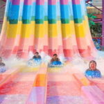 Phuket Splash Jungle Water Park Full Day Ticket with Transfer - The Sum Up