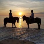 Phuket: Sunset Beach Horseback Journey - What to Expect in Terms of Organization and Safety