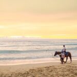 Phuket Sunset Horse Riding at Kamala Beach - Who Will Love This Experience?