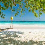 Phuket: Surin Islands Day Tour by Speedboat - Transportation, Timing, and Group Experience