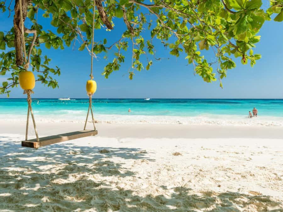 Phuket: Surin Islands Day Tour by Speedboat - Transportation, Timing, and Group Experience