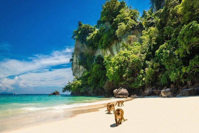 Phuket to Phi Phi Island Snorkel, Swim & Paddle Board Experience - What Does the Tour Include and Exclude?