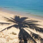 Phuket: Traditional boat to Phang Nga Bay and Hong Island - What Makes This Tour Stand Out