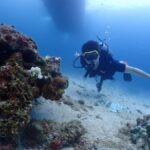 Phuket: Try SCUBA DIVING Full Day Experience 2 Dives - The Itinerary Breakdown