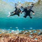 Pick-up OK1~70old99% Snorkelingsea turtles, fish and coral - Why This Tour Works