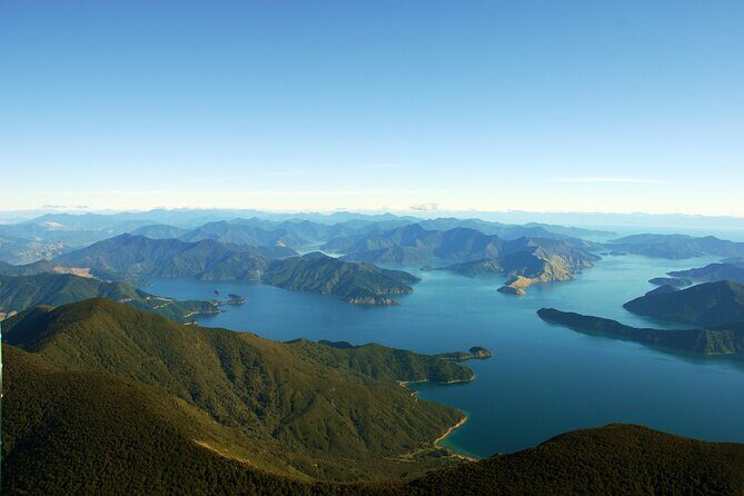 Picton Shore Excursion Queen Charlotte Sound Cruise - A Genuine Look at the Queen Charlotte Sound Cruise