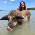 Pigs Island exclusive Semi VIP - The Practical Aspects
