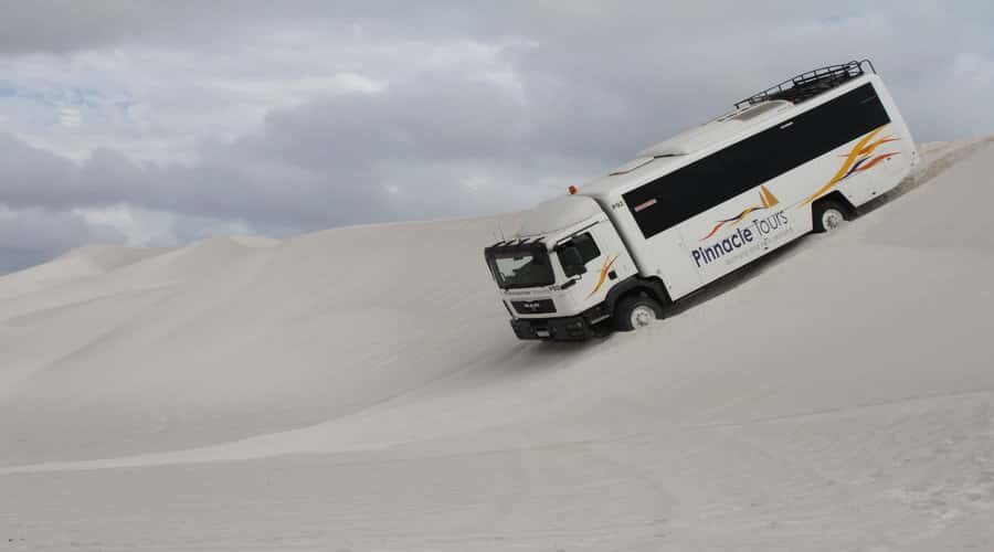 Pinnacles, Koalas & Sandboarding Tour Day Trip from Perth - Transport and Group Dynamics