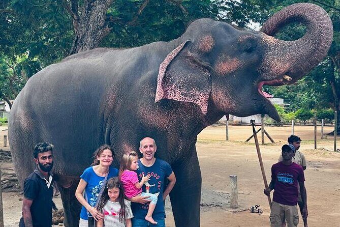 Pinnawala and Kandy Day Tour from Colombo or Negombo - Who Is This Tour Best For?