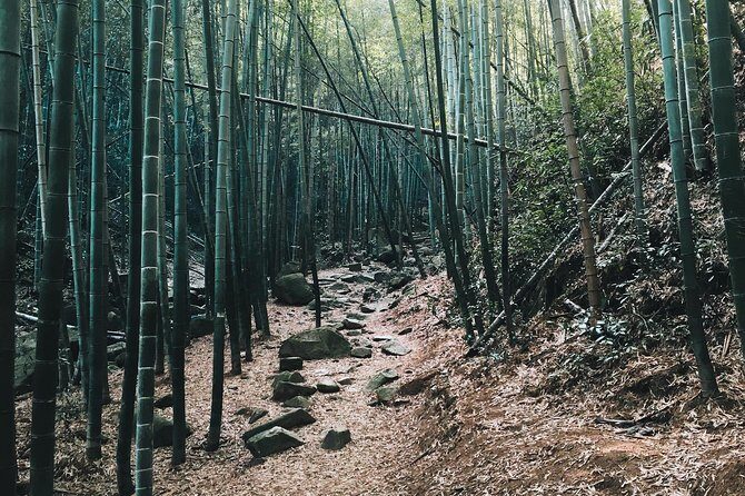 Plog and Hike Mount Mogan Nature Reserve  Guided Outdoor Tour from Hangzhou - Final Thoughts: Who Would Love This Tour?