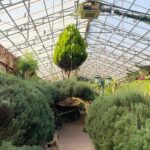 Pocheon Highlights 1 Day Tour - Authentic Experiences & Review Insights