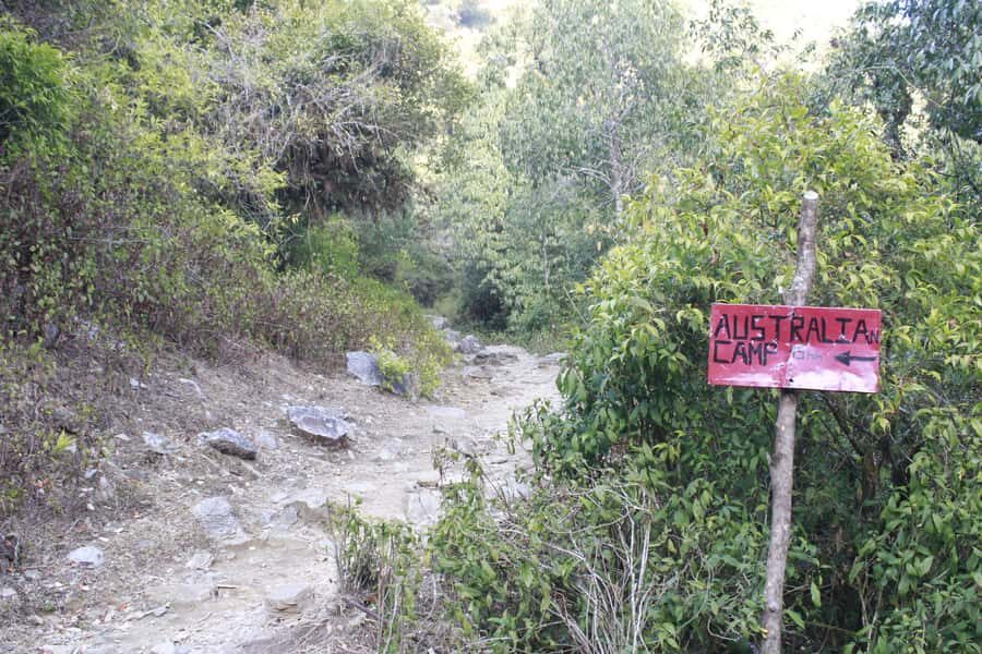 Pokhara: 1 Day Poon Hill Sunrise Hike with Transfer - Why This Tour Offers Great Value