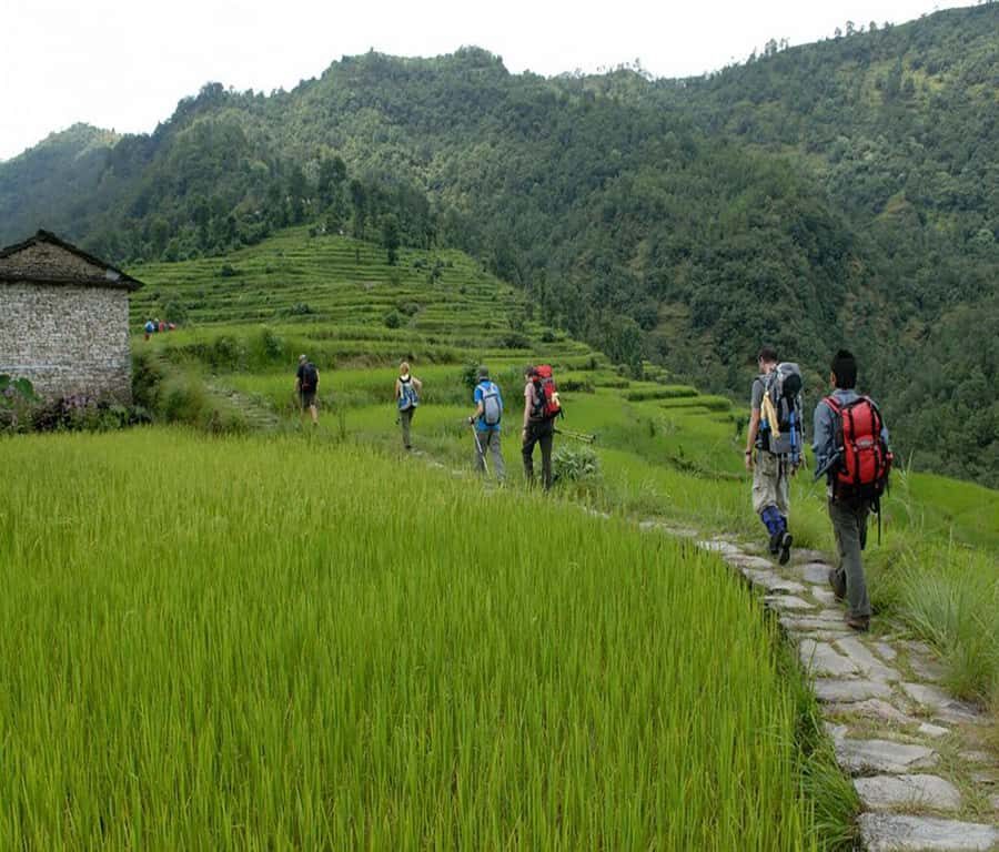 Pokhara: 2-Day Ghachok Village Tour with Homestay & Hike - What to Expect on the Tour