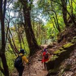 Pokhara: 2-Day Poon Hill Sunrise Trek with Lady Guide - What Makes This Trek Valuable