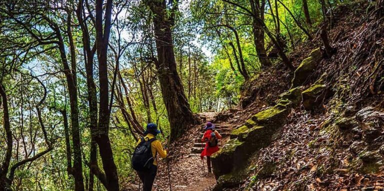 Pokhara: 2-Day Poon Hill Sunrise Trek with Lady Guide - What Makes This Trek Valuable