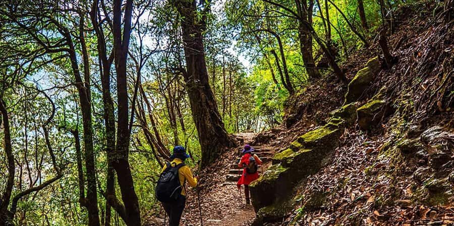 Pokhara: 2-Day Poon Hill Sunrise Trek with Lady Guide - What Makes This Trek Valuable
