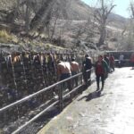 Pokhara: 4-Day Jomsom and Muktinath Trek with Guide - Authentic Insights from Reviews