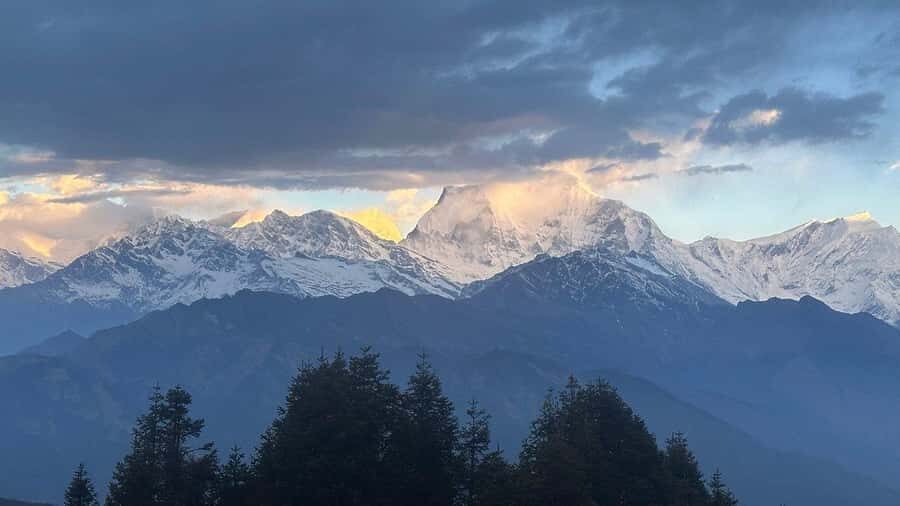 Pokhara: 5-Day Poon Hill Trek with Guide and Transfers - Why Choose This Tour?