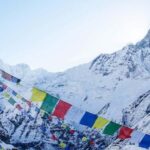 Pokhara: Annapurna Base Camp Trek 5Days/7Days - What to Expect: Realities of the Trek