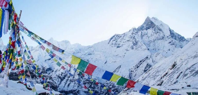 Pokhara: Annapurna Base Camp Trek 5Days/7Days - What to Expect: Realities of the Trek