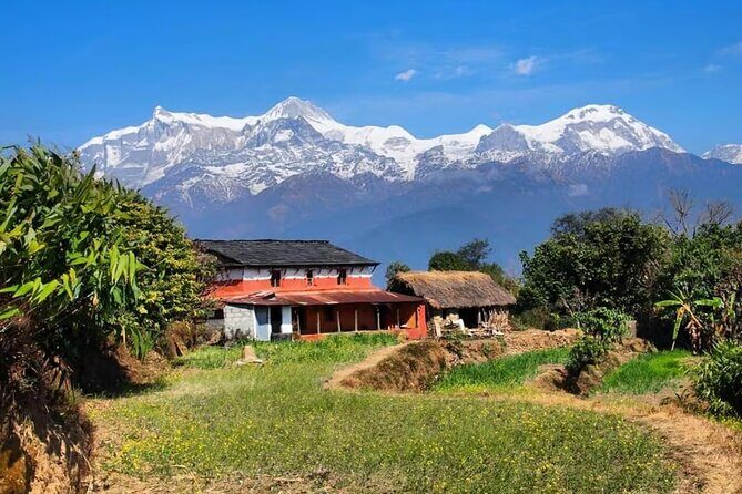 Pokhara: Day Hike at Annapurna Mountain Foothills - The Hike to Dhampus and Phedi