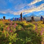 Pokhara: Easy 3-Day Ghorephani and Poon Hill Trek - The Itinerary Breakdown: What Makes Each Day Special