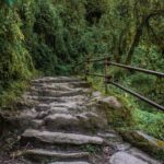 Pokhara: Poon Hill Culture Trek & Village Homestays (4-Day) - What’s Unique About This Trek?