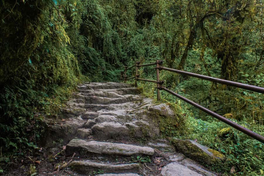 Pokhara: Poon Hill Culture Trek & Village Homestays (4-Day) - What’s Unique About This Trek?