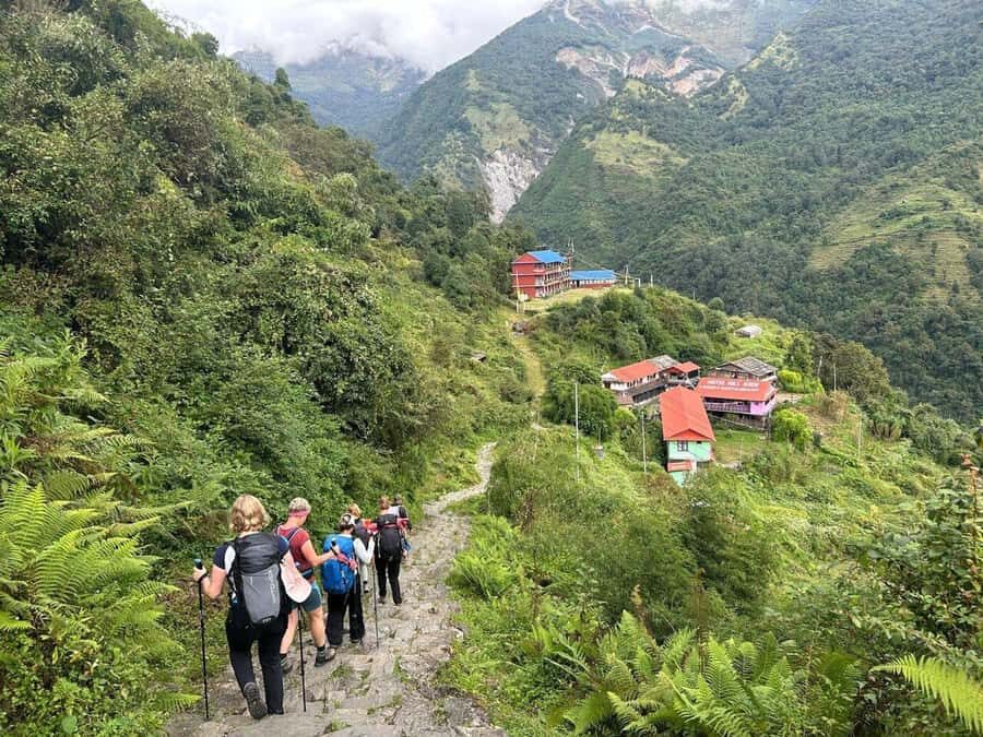 Pokhara: Small Group 5-day Annapurna Base Camp Private Trek - What to Expect at Each Stage